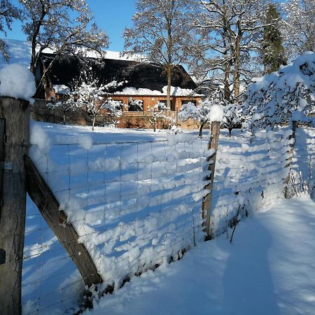 Gite Spacieux Et Cosy A La Campagne Proche De Strasbourg Achenheim Eksteriør bilde