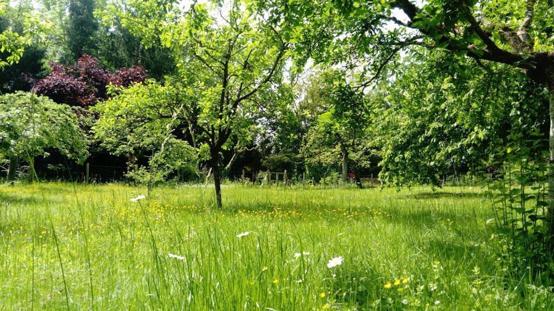 Gite Spacieux Et Cosy A La Campagne Proche De Strasbourg Achenheim Eksteriør bilde